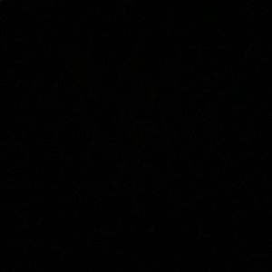 Meet your Posher, Giselle